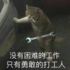 程序员